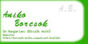 aniko borcsok business card
